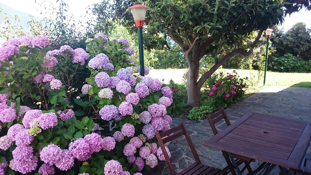 Villa Venino مونيلّي المظهر الخارجي الصورة